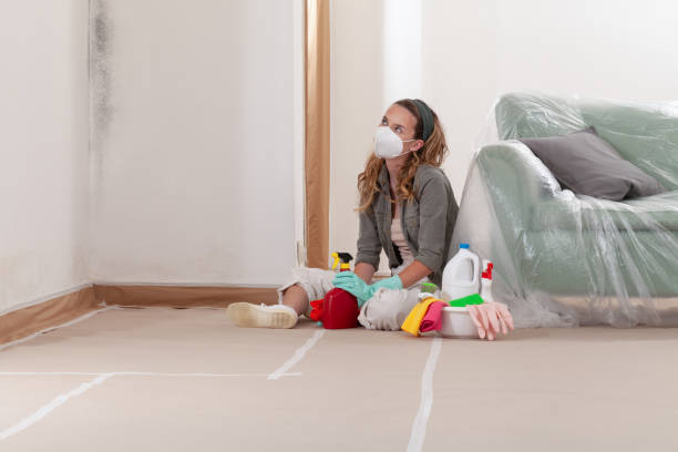 Reliable Black Mold Removal contractor in Cresskill, NJ by WQB Mold Removal